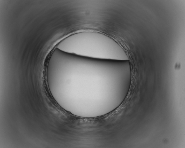 X0000101390338200807071010