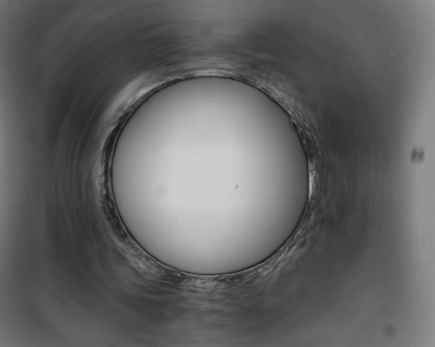 X0000101390339200807071010