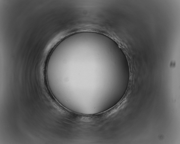 X0000101390341200807071010