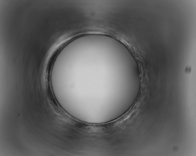 X0000101390343200807071010