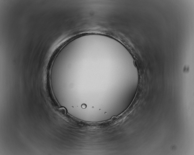 X0000101390344200807071010