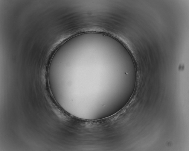 X0000101390345200807071010