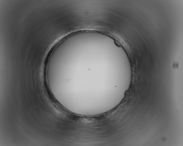 X0000101390346200807071010