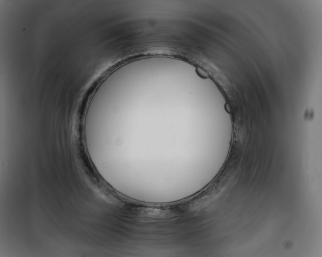 X0000101390347200807071010