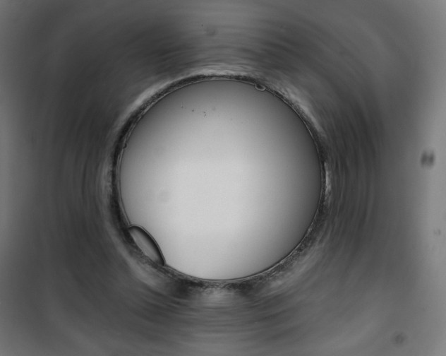X0000101390348200807071010
