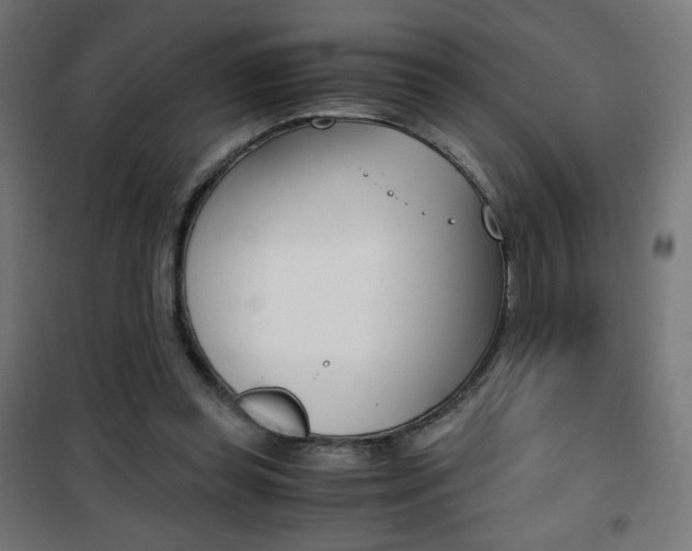 X0000101390349200807071010