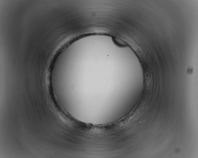 X0000101390350200807071010