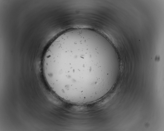 X0000101390351200807071010