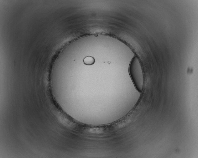 X0000101390353200807071010