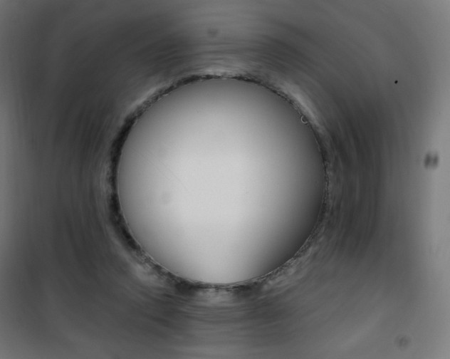 X0000101390354200807071010