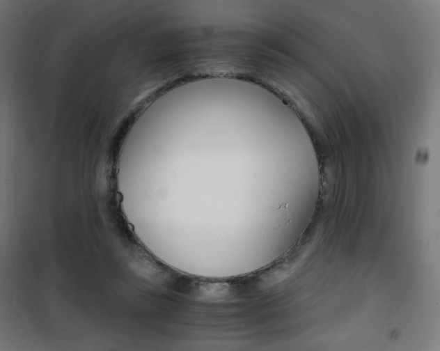 X0000101390355200807071010