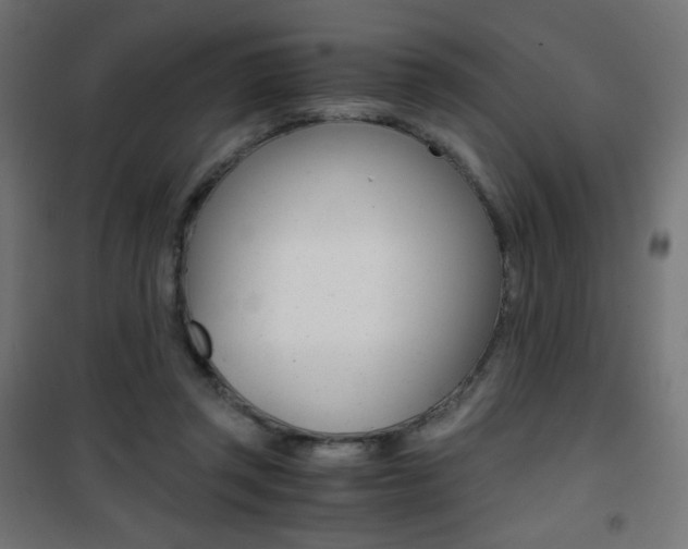 X0000101390357200807071010