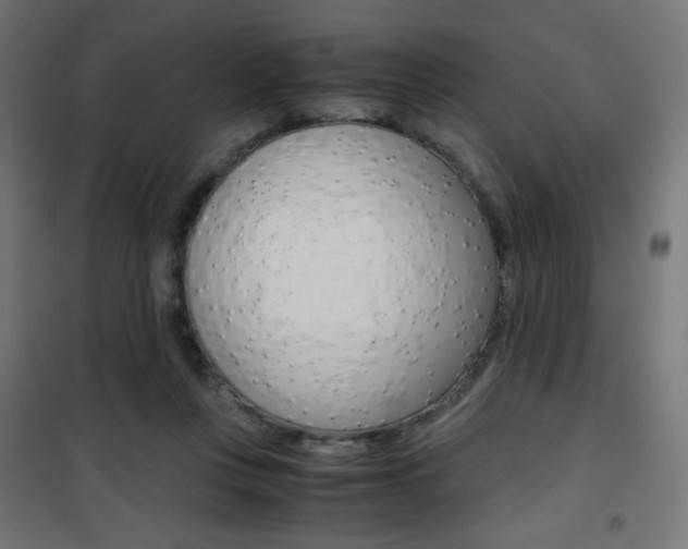 X0000101390359200807071010