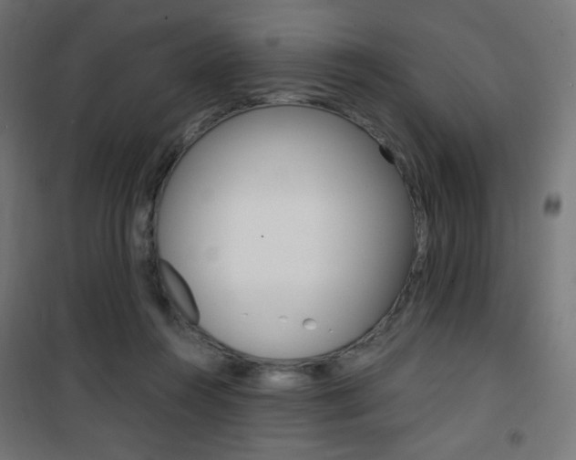X0000101390360200807071010