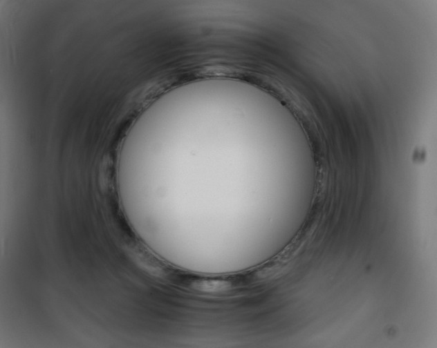 X0000101390361200807071010