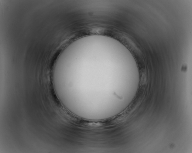 X0000101390363200807071010