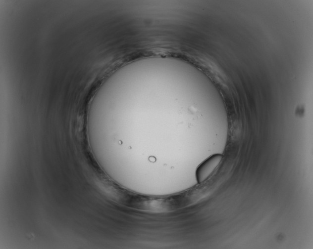 X0000101390365200807071010