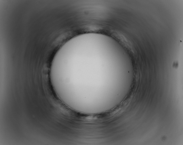 X0000101390366200807071010