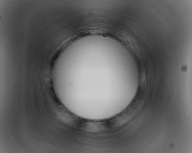 X0000101390367200807071010