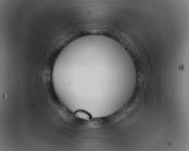 X0000101390368200807071010
