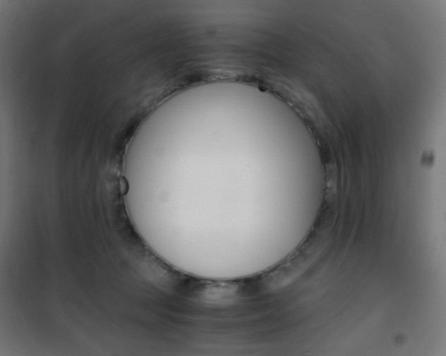X0000101390369200807071010