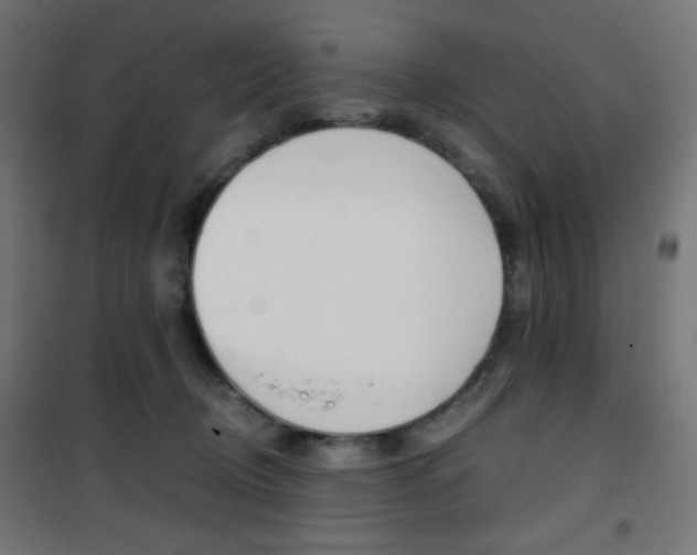 X0000101390370200807071010