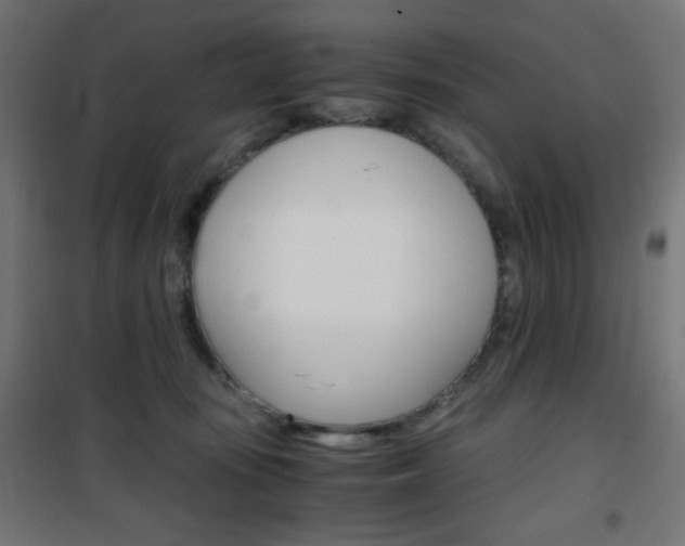 X0000101390371200807071010