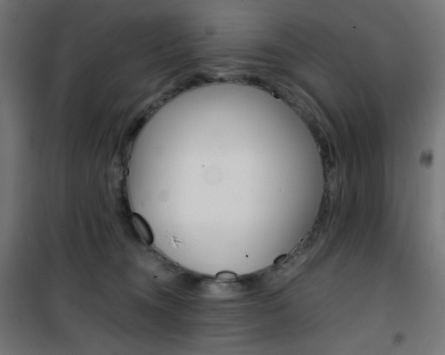 X0000101390372200807071010