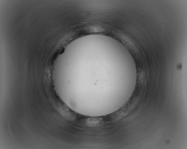 X0000101390373200807071010