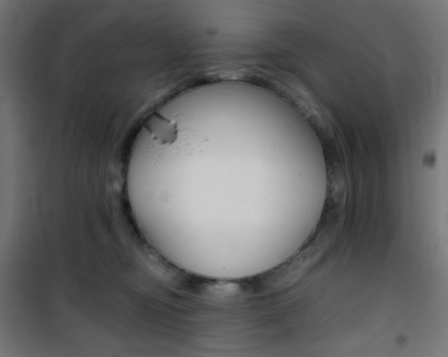 X0000101390374200807071010