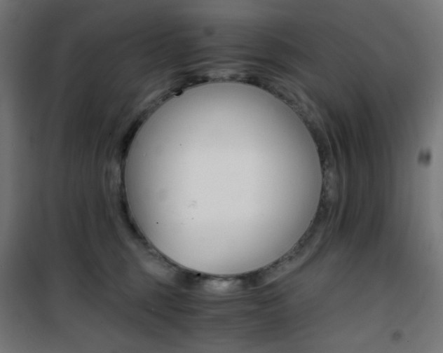 X0000101390375200807071010