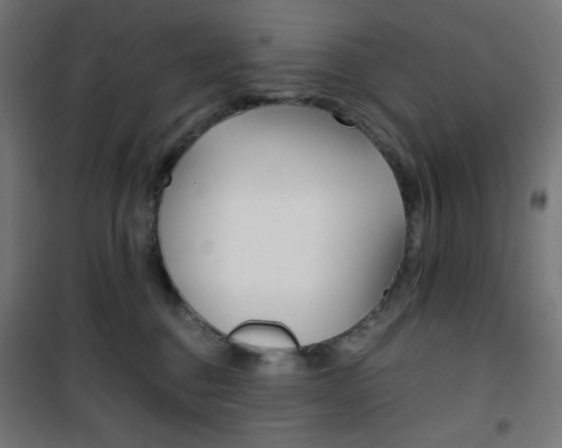X0000101390376200807071011