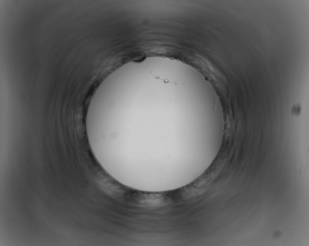 X0000101390377200807071011