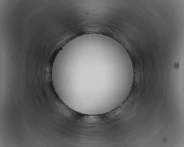 X0000101390378200807071011