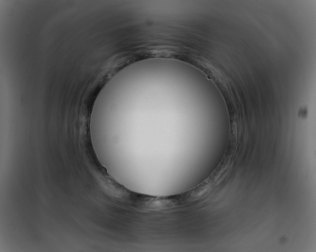 X0000101390379200807071011