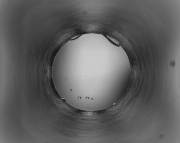 X0000101390380200807071011