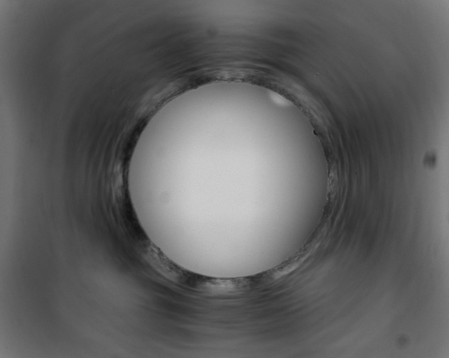 X0000101390381200807071011