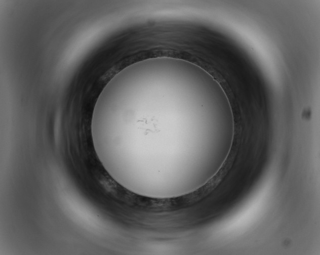 X0000101390382200807071011