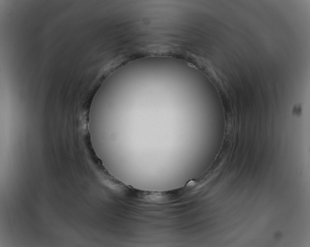 X0000101390383200807071011