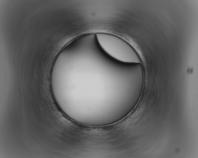 X0000101390385200807071010