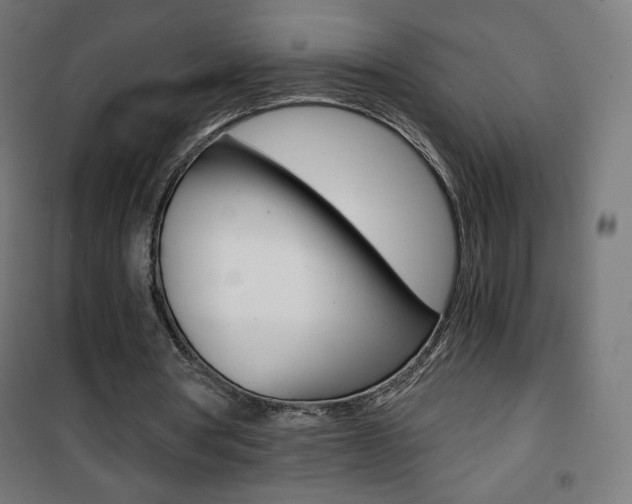 X0000101390386200807071010