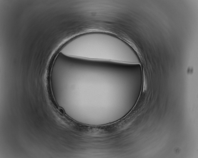 X0000101390387200807071010