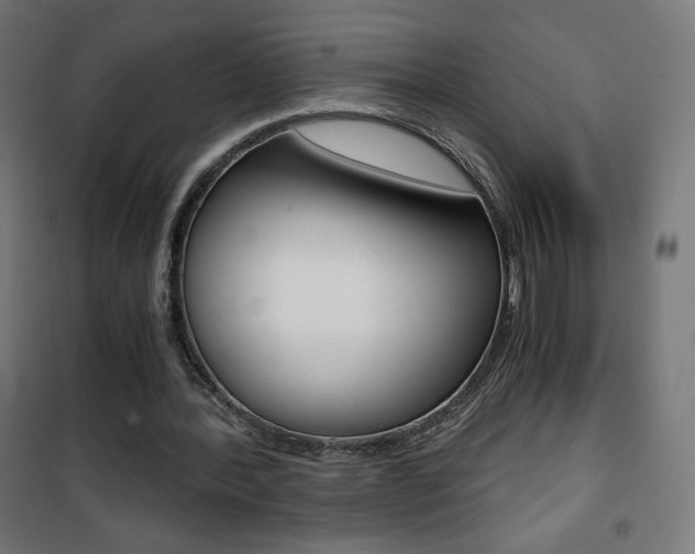 X0000101390388200807071010