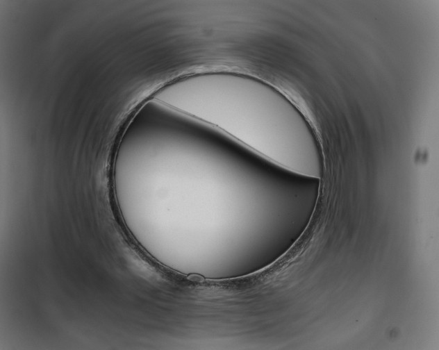 X0000101390389200807071010