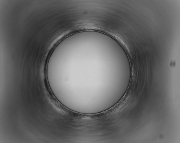X0000101390390200807071010