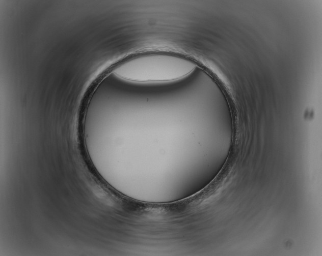 X0000101390391200807071010