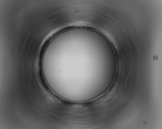 X0000101390392200807071010