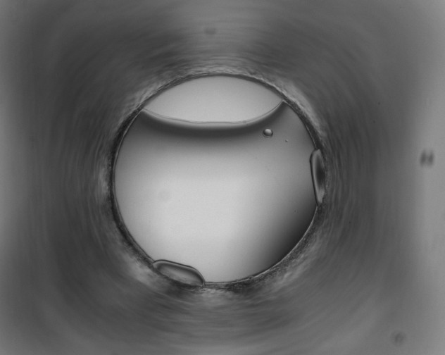 X0000101390393200807071010