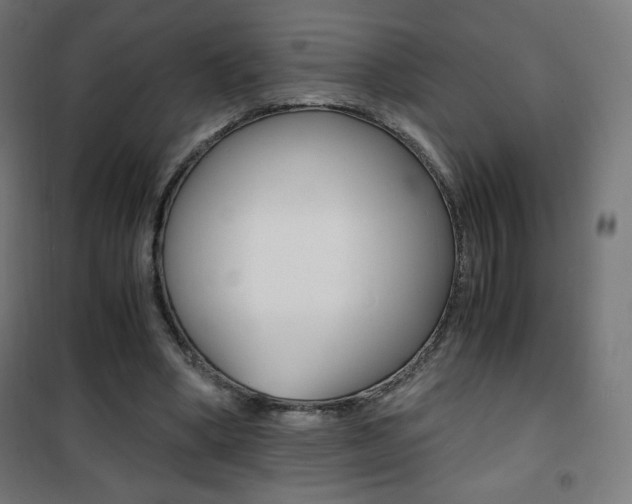 X0000101390394200807071010