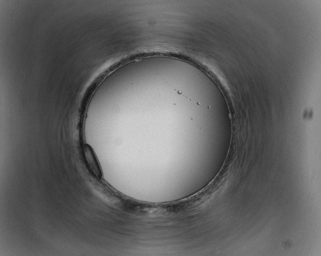 X0000101390395200807071010
